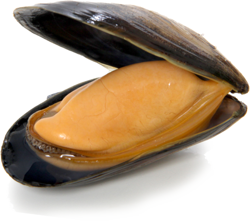 moule-krystale moule-krystale